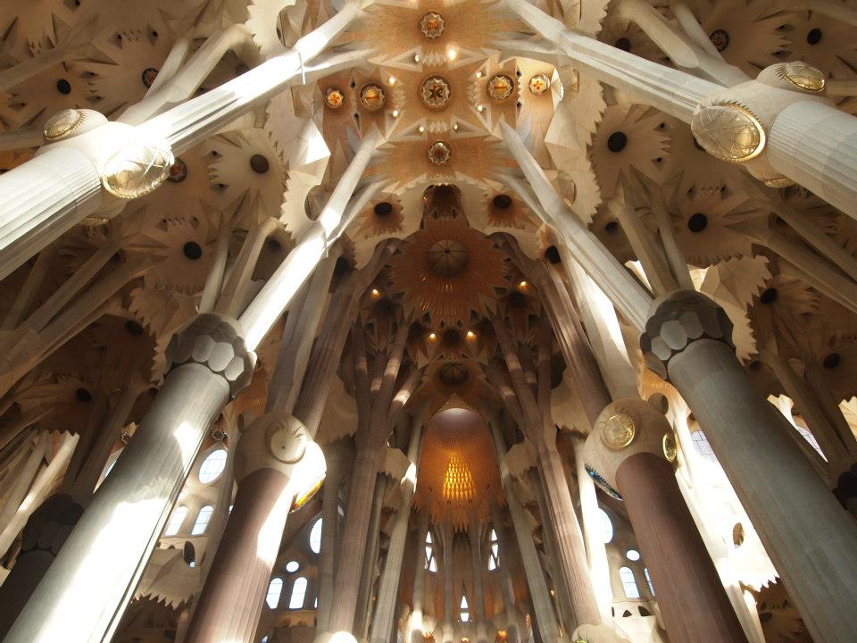 505767920_10029444753814893_163571846417193553_n